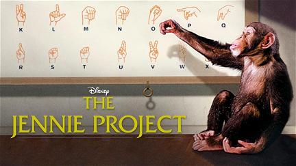 The Jennie Project poster