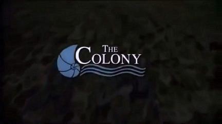 The Colony - Umzug ins Verderben poster