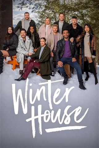 Winter House poster