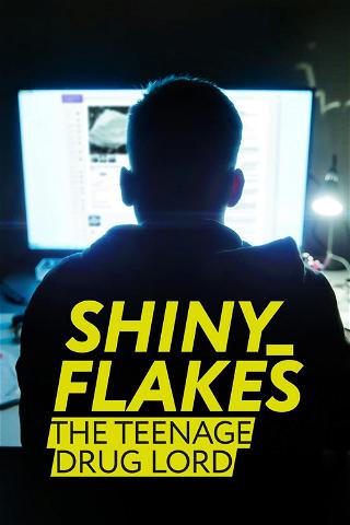 Shiny_Flakes: The Teenage Drug Lord poster