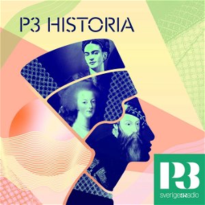 P3 Historia poster