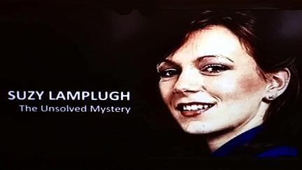 Suzy Lamplugh: The Unsolved Mystery poster