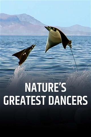 Los grandes bailarines de la naturaleza poster