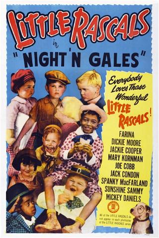 Night 'n' Gales poster