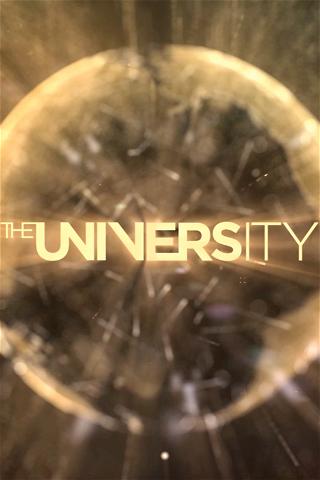 The University poster
