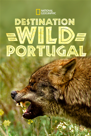 Destination Wild : Portugal poster