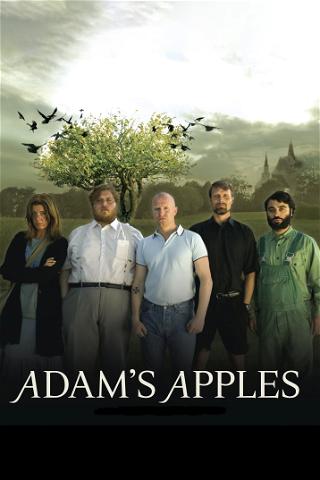Adams æbler poster