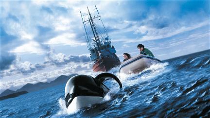 Free Willy 3 - Die Rettung poster