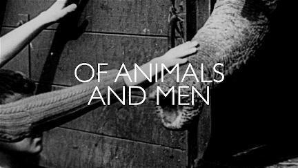 O zwierzętach i ludziach poster