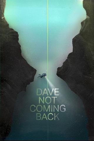 Dave Not Coming Back poster