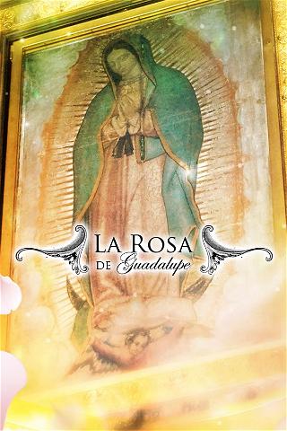 La Rosa de Guadalupe poster