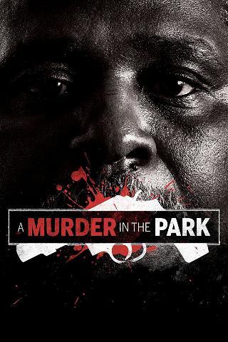 A Murder in the Park poster