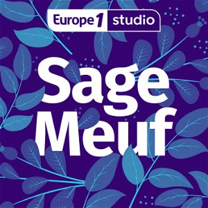 Sage-Meuf, le podcast maternité qui vous accompagne pendant la grossesse et après l'accouchement poster