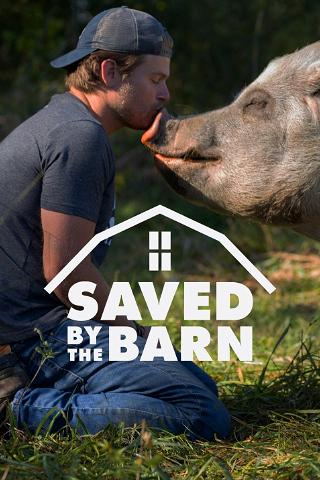 Saved By The Barn poster