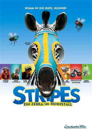 Stripes - Ein Zebra im Rennstall poster