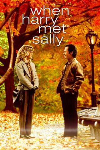 Harry e Sally poster