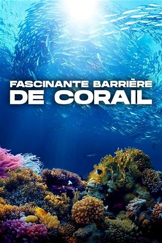 Fascinante barrière de corail poster