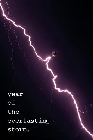 The Year of the Everlasting Storm poster