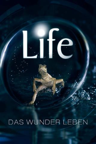 BBC Earth: Life - Das Wunder Leben poster