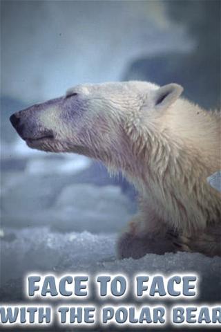 Face to Face With the Polar Bear poster