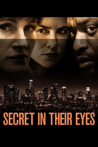 Secret in Their Eyes poster