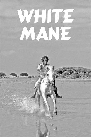 White Mane poster
