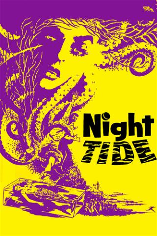 Marea Nocturna poster