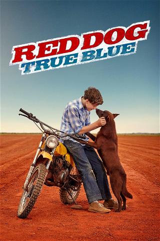 Red Dog: True Blue poster