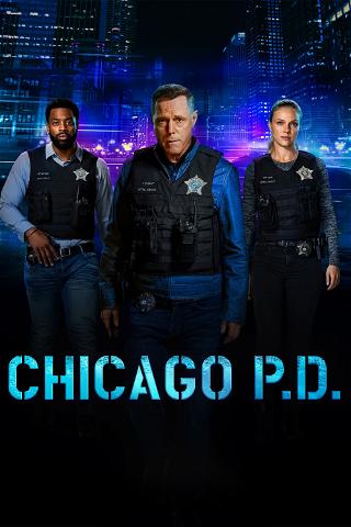 Chicago P.D. - Distrito 21 poster