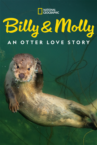 Billy & Molly: An Otter Love Story poster