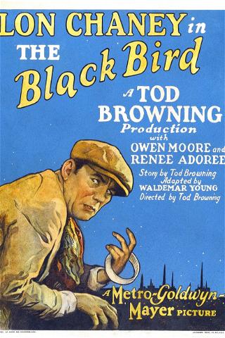 The Blackbird poster