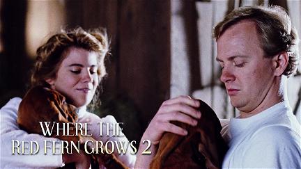 Where The Red Fern Grows - Part 2 poster