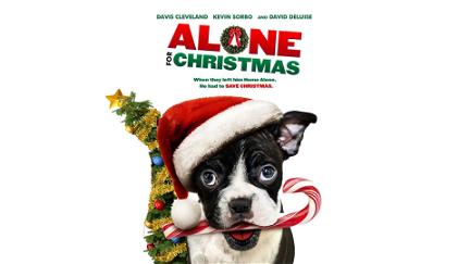 Alone for Christmas poster