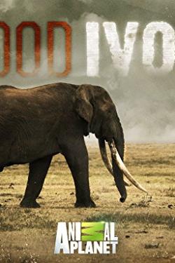 Blood Ivory poster