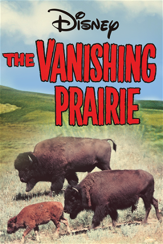 De Prairie Verdwijnt poster