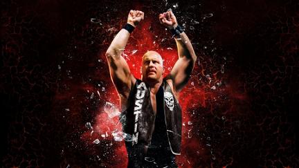Meeting Stone Cold poster