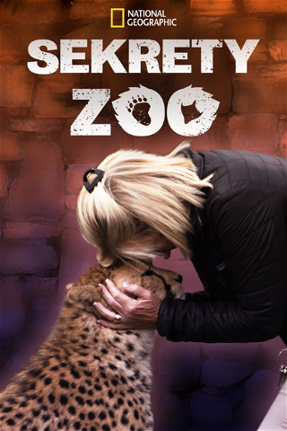 Sekrety zoo poster