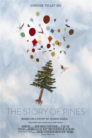The Story of Pines poster