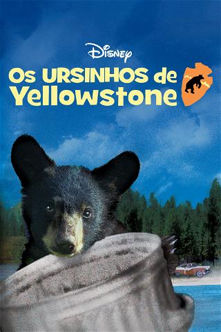 Os Ursinhos de Yellowstone poster