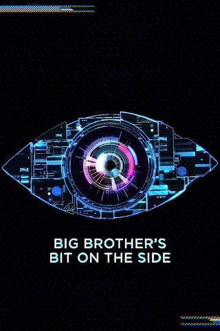 Big Brother's Bit on the Side poster