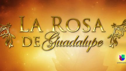 La rosa de Guadalupe poster