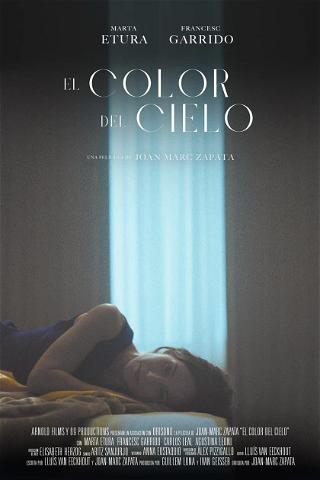 Color of Heaven poster
