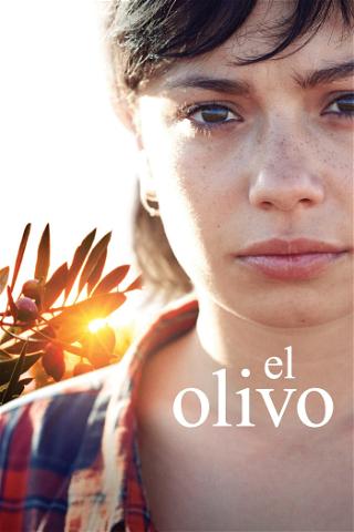 El Olivo poster