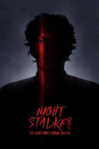 Acosador nocturno: A la caza de un asesino en serie poster
