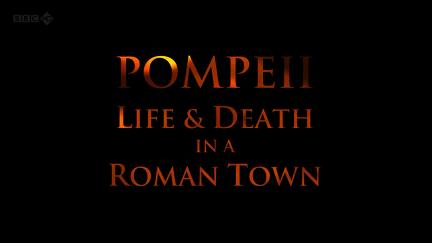 Pompeii: Life and Death in a Roman Town poster