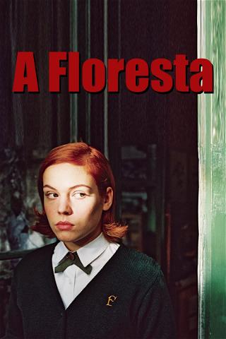 A Floresta poster