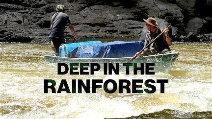 Deep in the Rainforest poster