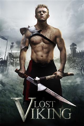 Lost Viking poster