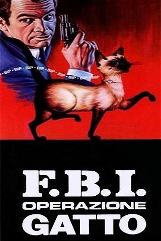 F.B.I. operazione gatto poster