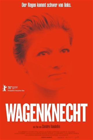 Wagenknecht poster